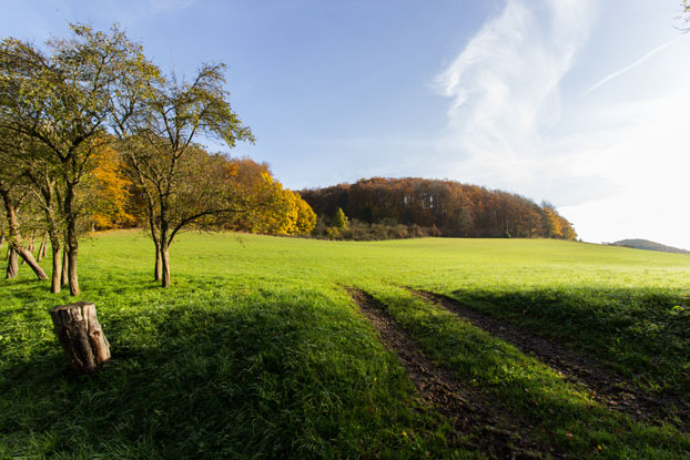 wandern bild